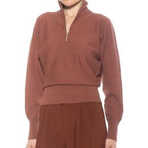 Alexia Admor Rust Half-Zip Sweater